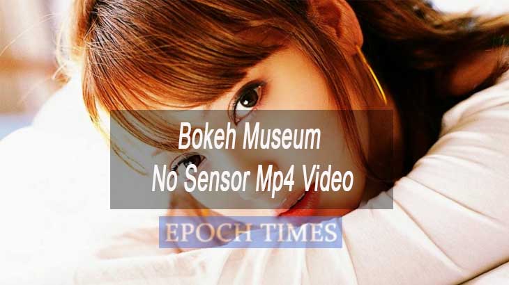 Bokeh Museum No Sensor Mp4 Video