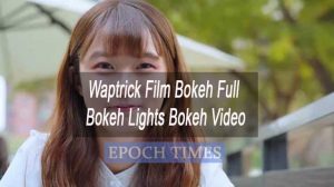 Waptrick Film Bokeh Full Bokeh Lights Bokeh Video