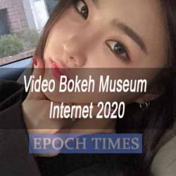 Video Bokeh Museum Internet 2020